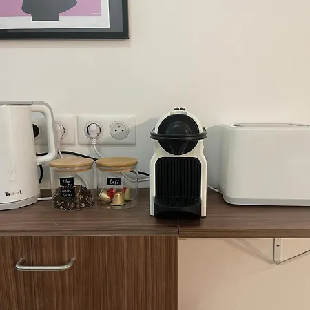 Les Baleines - Hypercentre 2 Avec Garage Et Clim - Air Conditioning Grenoble