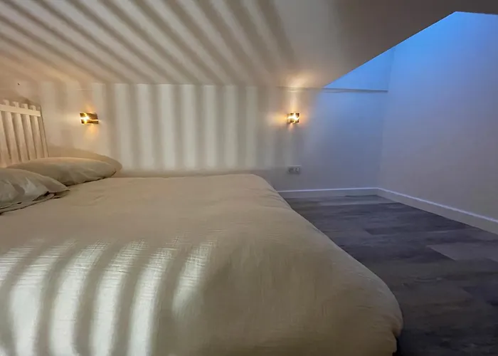 Les Baleines - Hypercentre 2 Avec Garage Et Clim - Air Conditioning *