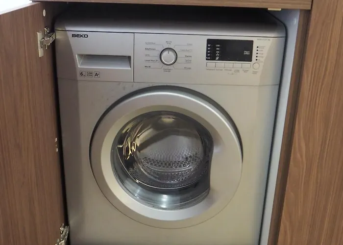 Appartement Les Baleines - Hypercentre 2 Avec Garage Et Clim - Air Conditioning Grenoble