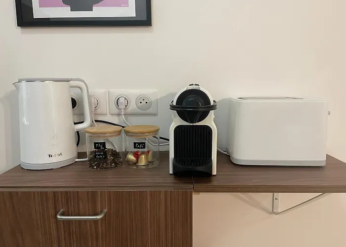 Les Baleines - Hypercentre 2 Avec Garage Et Clim - Air Conditioning Grenoble