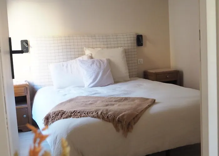 Appartement Les Baleines - Hypercentre 2 Avec Garage Et Clim - Air Conditioning Grenoble