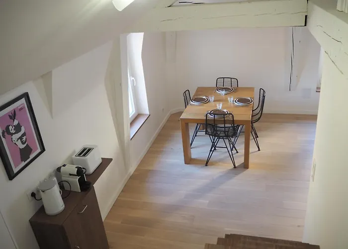 Les Baleines - Hypercentre 2 Avec Garage Et Clim - Air Conditioning Appartement Grenoble