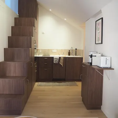 Les Baleines - Hypercentre 2 Avec Garage Et Clim - Air Conditioning 아파트 그르노블