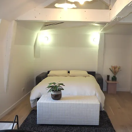 Les Baleines - Hypercentre 2 Avec Garage Et Clim - Air Conditioning