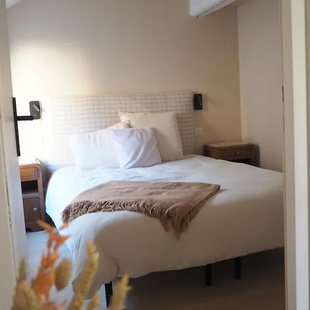 Apartment Les Baleines - Hypercentre 2 Avec Garage Et Clim - Air Conditioning Grenoble