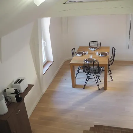 Les Baleines - Hypercentre 2 Avec Garage Et Clim - Air Conditioning Apartment Grenoble