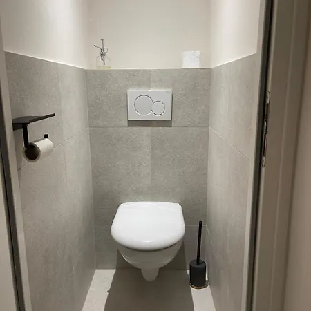 Les Baleines - Hypercentre 2 Avec Garage Et Clim - Air Conditioning * Grenoble