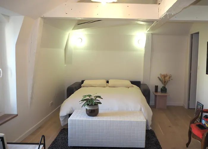 Les Baleines - Hypercentre 2 Avec Garage Et Clim - Air Conditioning