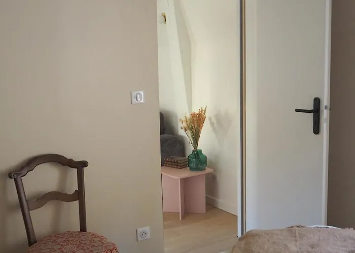 Les Baleines - Hypercentre 2 Avec Garage Et Clim - Air Conditioning *