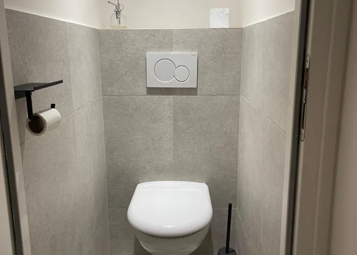 Les Baleines - Hypercentre 2 Avec Garage Et Clim - Air Conditioning * Grenoble